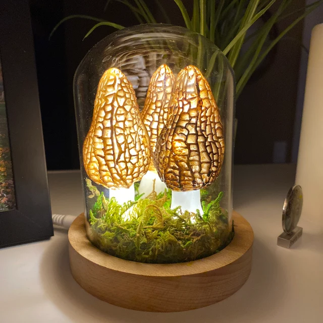 Handmade Wild Morel Mushroom Night Lights Anniversary Valentine's Day Gift For Her