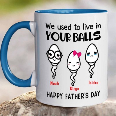 Father's Day Gifts We Use To Live In Your Balls Mug Personalised Gift for Dad