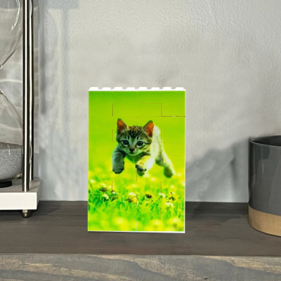 Custom Pet Lover Gift Personalised Building Bricks Photo Block Pet Portrait Christmas Gift for Her