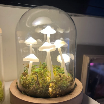 Cute Retro Mushroom Night Light Handmade Mushroom Lamp Anniversary Valentine's Day Gift For Girlfriend Wife Her