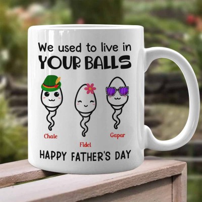 Father's Day Gifts We Use To Live In Your Balls Mug Personalised Gift for Dad