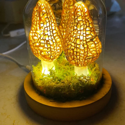 Handmade Wild Morel Mushroom Night Lights Anniversary Valentine's Day Gift For Her